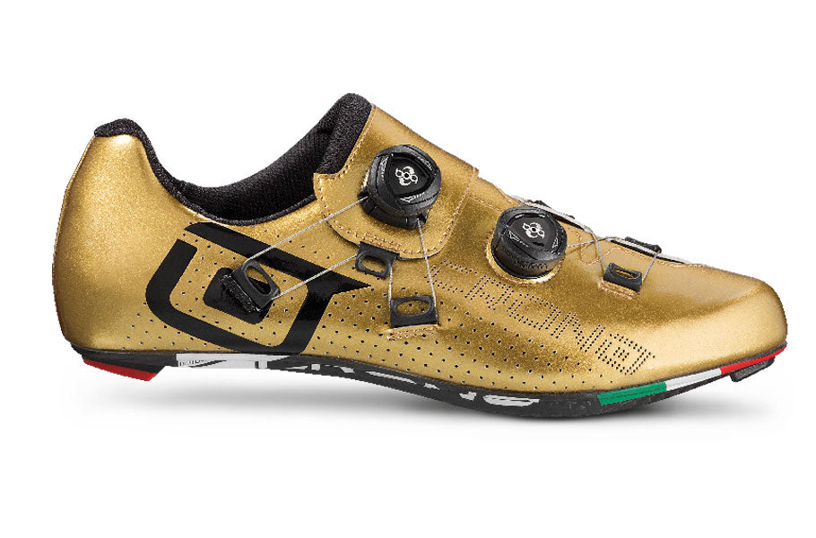CR1 CAR 10+ / FULL CARBON Gold 21